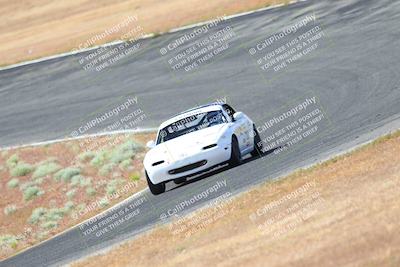 media/May-06-2023-Lucky Dog Racing (Sat) [[8f2256f436]]/Turn 2 10a/